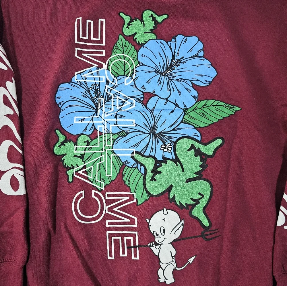CALL ME 917 DEVIL CALLS HOODY SWEATSHIRT SMALL MAROON - Picture 5 of 7